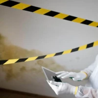 Asbestos Survey 2